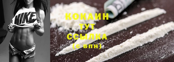 стафф Гусев