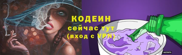 прущие грибы Осташков