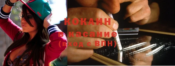 прущие грибы Осташков