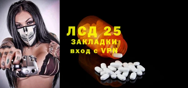 прущие грибы Осташков