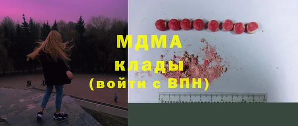 прущие грибы Осташков