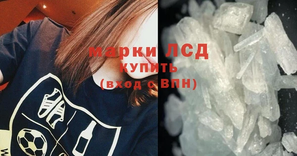 прущие грибы Осташков