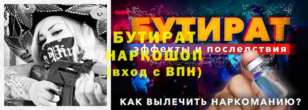 прущие грибы Осташков