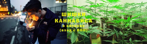прущие грибы Осташков